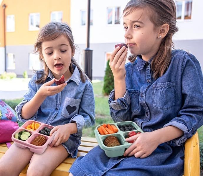 4 - 1PC Snack Containers, Divided Bento Lunch Snack Box With Transparent Lids, Reusable Meal Snack Containers For Adults 4 Compartment Food Storage Containers For People Work Travel.